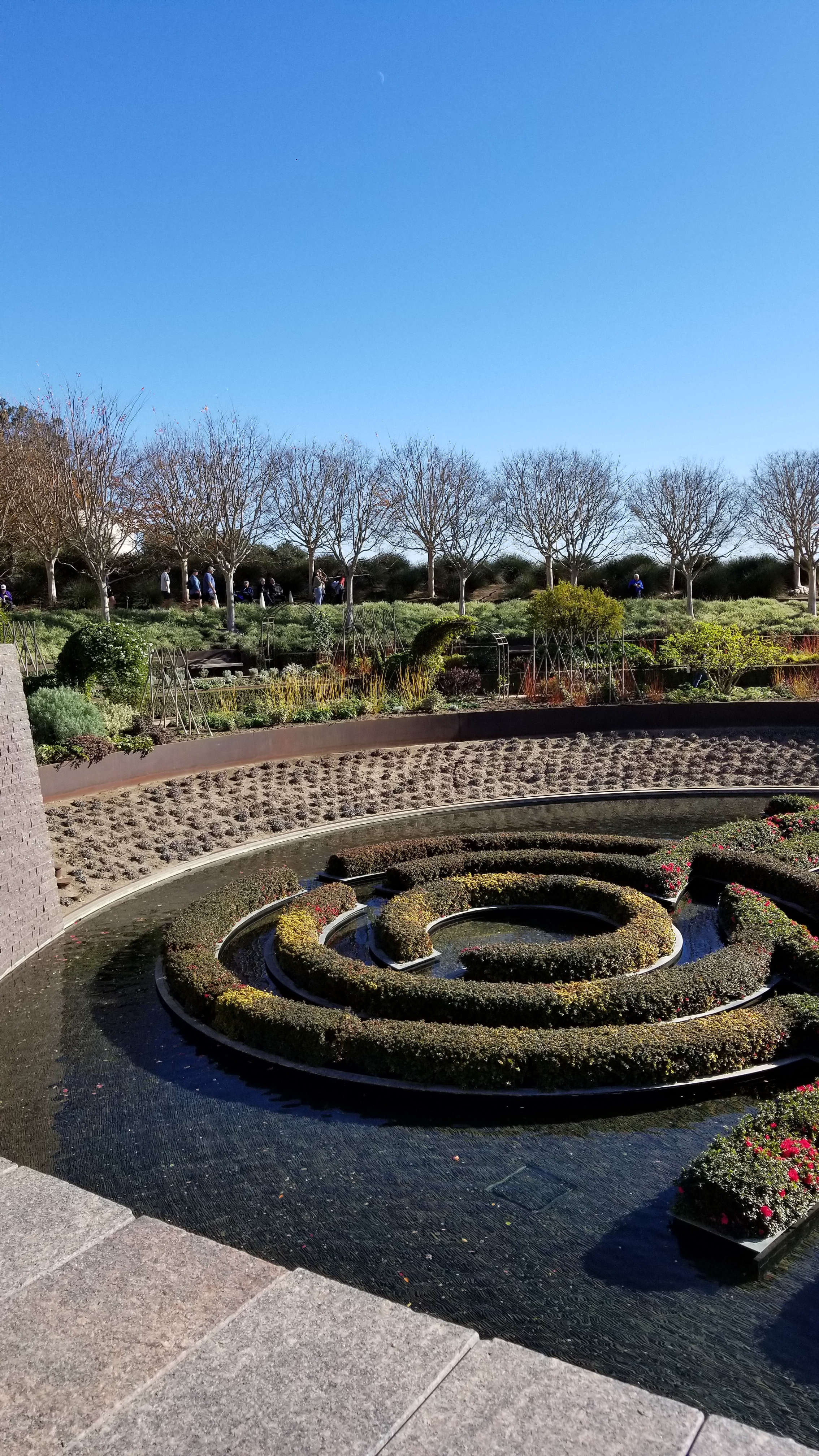 Trees and water garden
