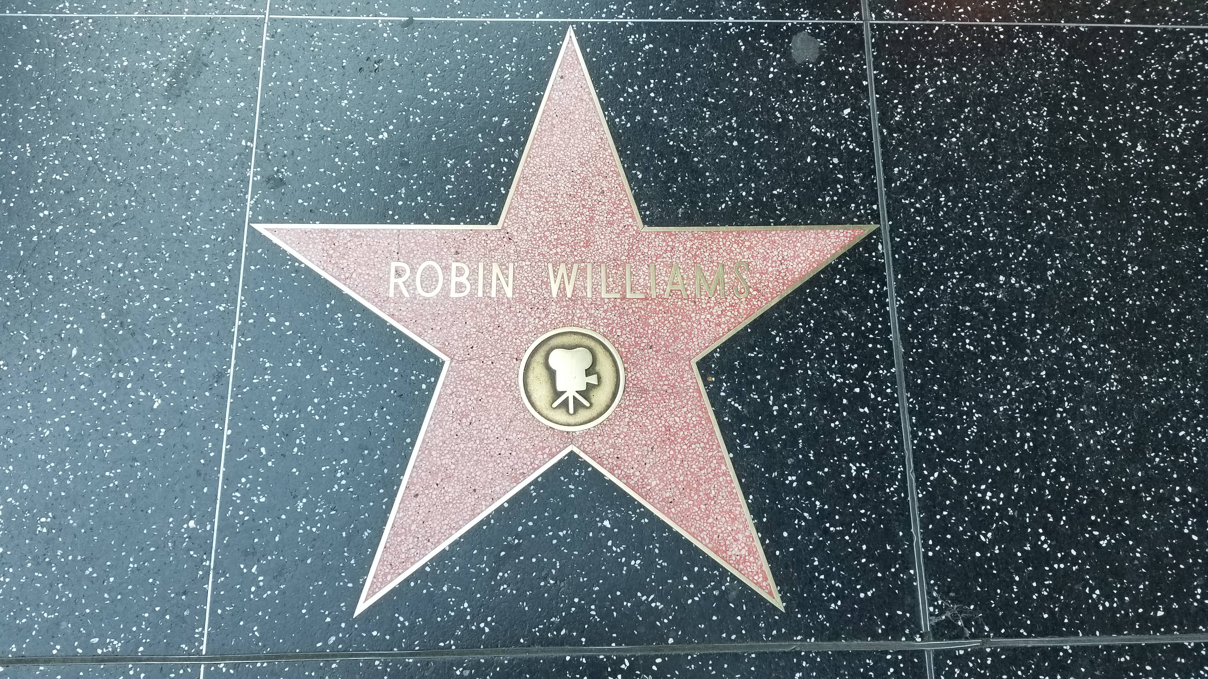 Robin Williams Star